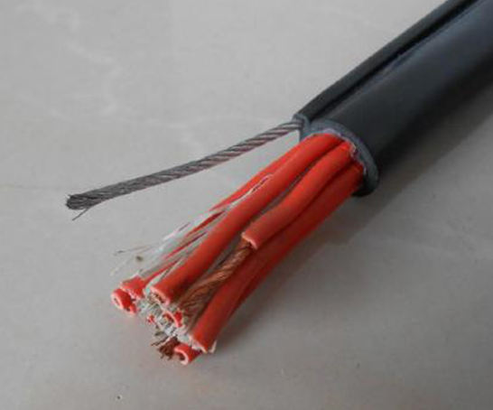 行車(chē)手柄電纜 HB-RVV-1G